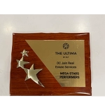 Mega star Performers-DLF The Ultima