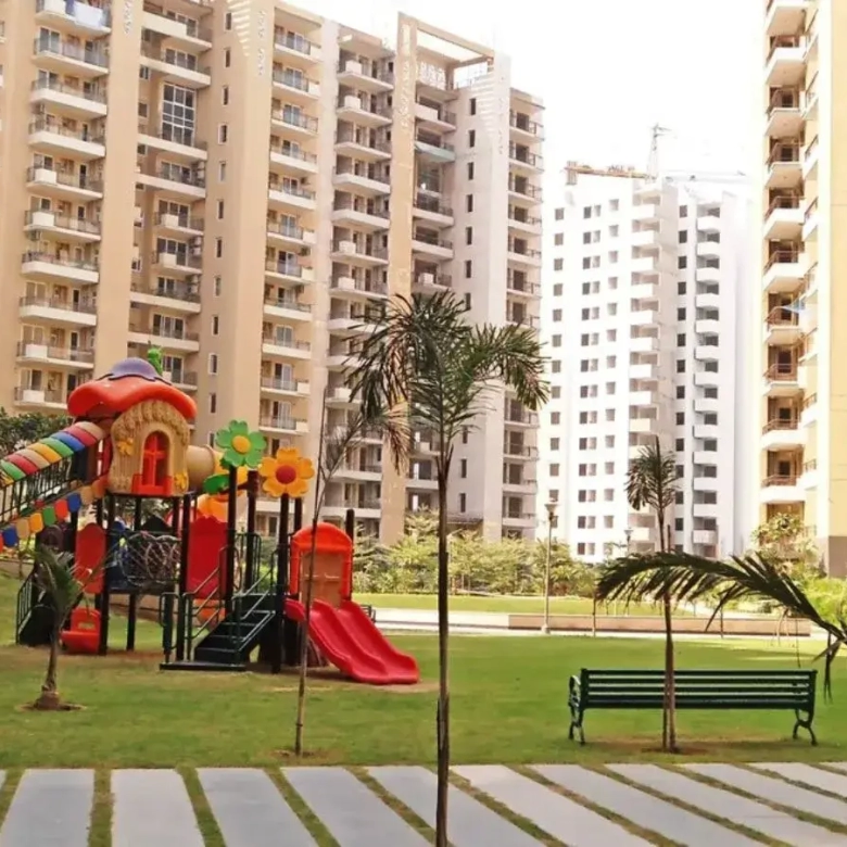 Tulip Violet Garden Area