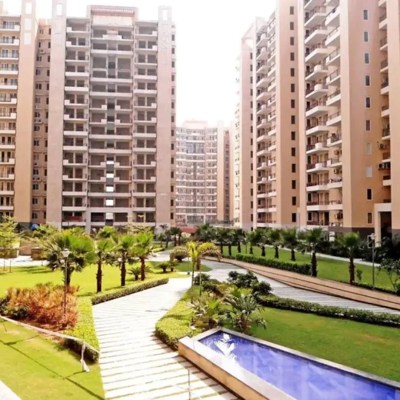 Tulip Violet Walking Area