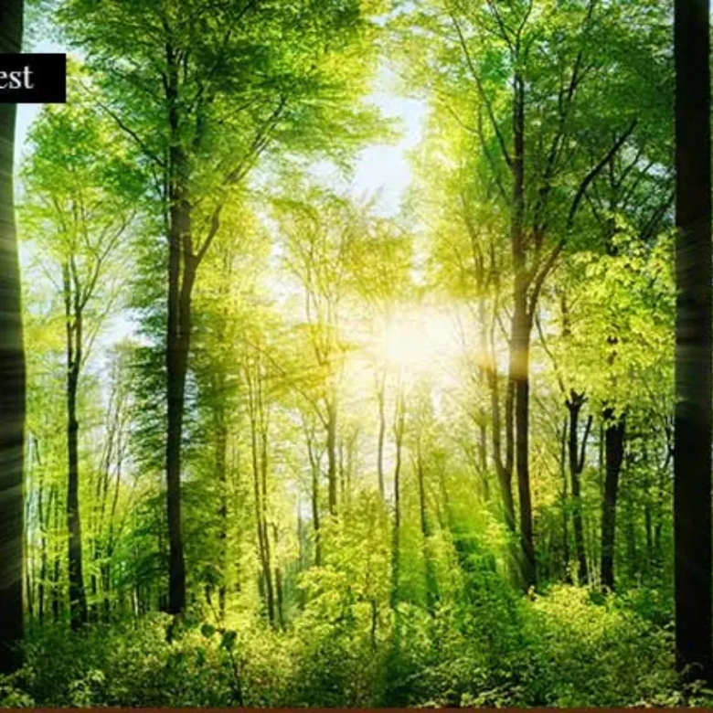 Signature Global Twin Tower DXP Miyawaki forest