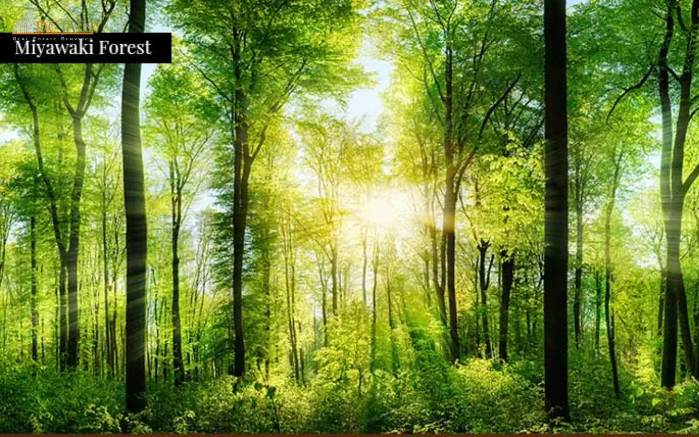 Signature Global Twin Tower DXP Miyawaki forest