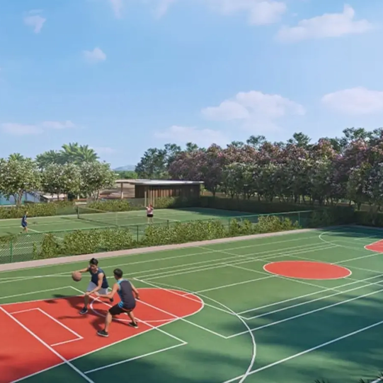 Signature Global De Luxe DXP Basketball court