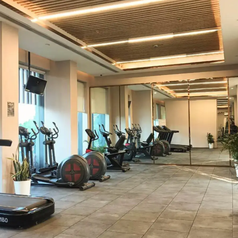 Sky mansion risland gym